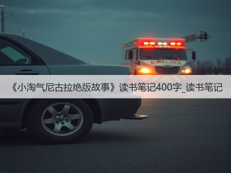 《小淘气尼古拉绝版故事》读书笔记400字_读书笔记