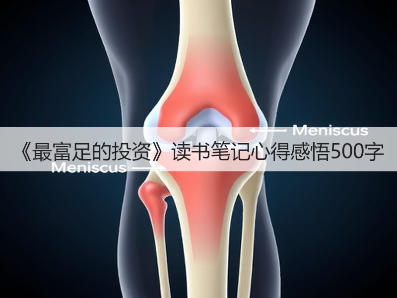 《最富足的投资》读书笔记心得感悟500字