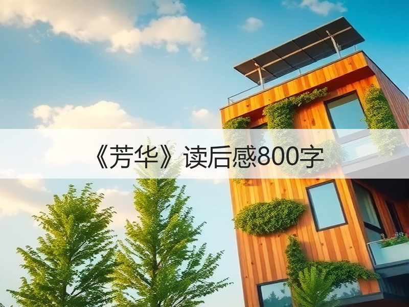 《芳华》读后感800字