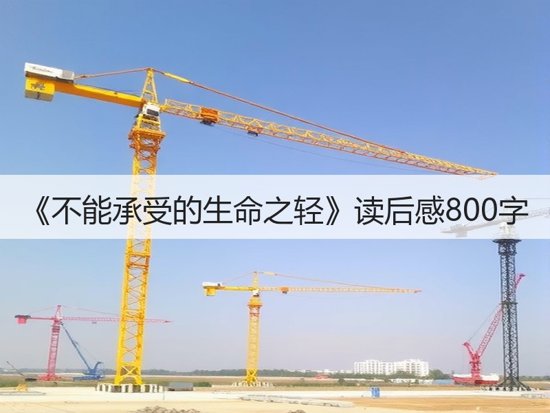 《不能承受的生命之轻》读后感800字