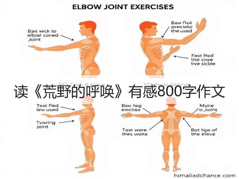读《荒野的呼唤》有感800字作文