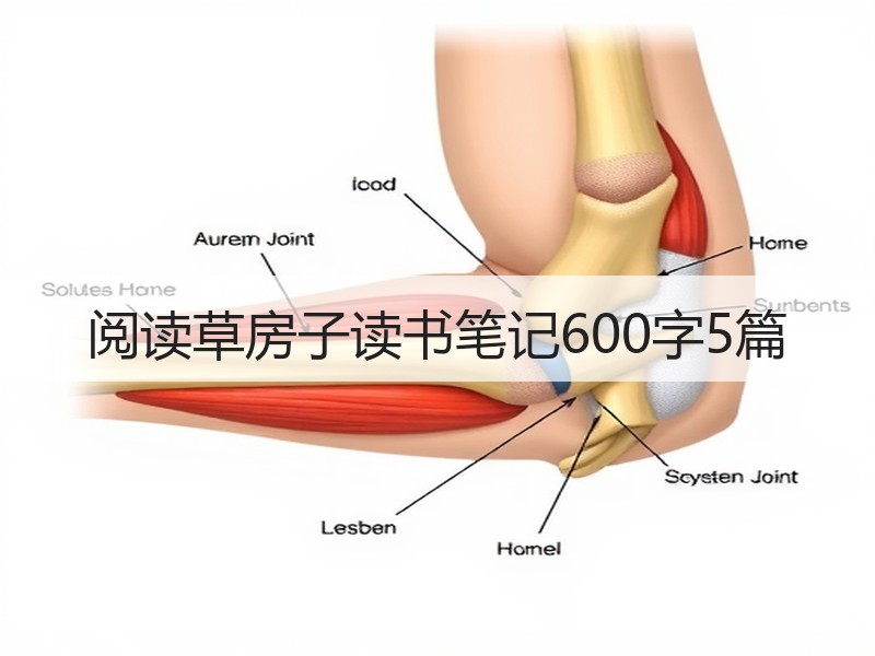 阅读草房子读书笔记600字5篇