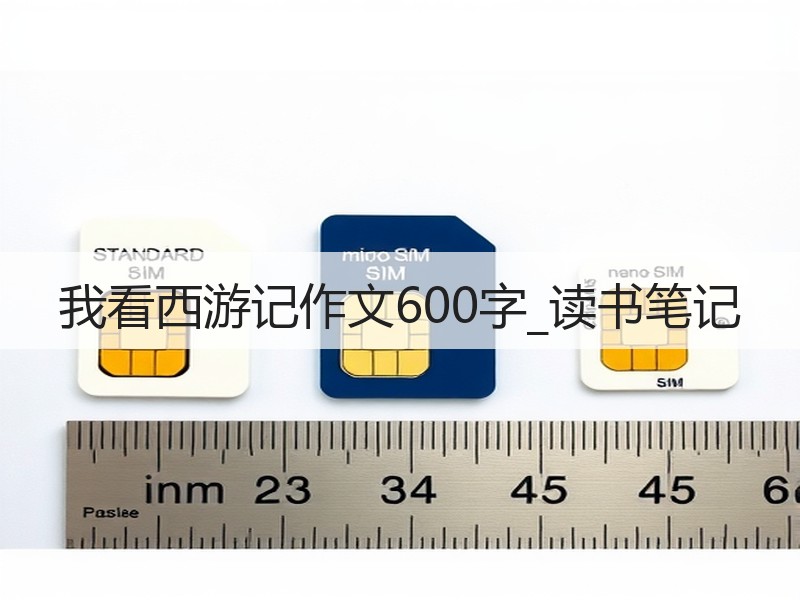 我看西游记作文600字_读书笔记