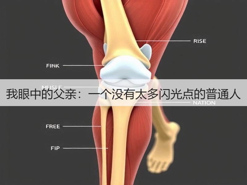 我眼中的父亲：一个没有太多闪光点的普通人