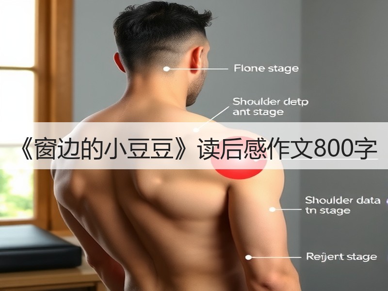 《窗边的小豆豆》读后感作文800字