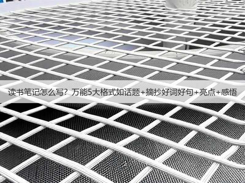 读书笔记怎么写？万能5大格式如话题+摘抄好词好句+亮点+感悟