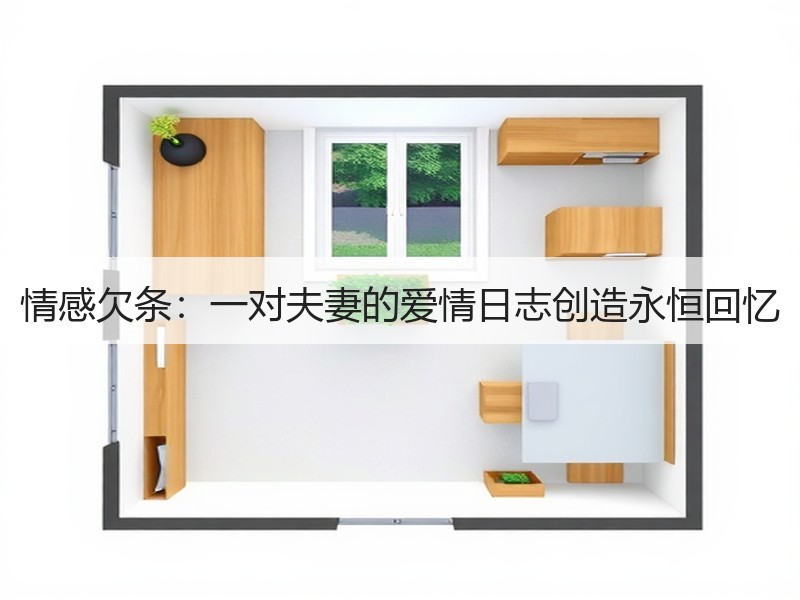 情感欠条：一对夫妻的爱情日志创造永恒回忆