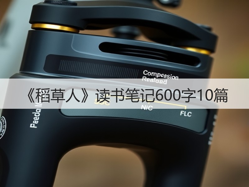 《稻草人》读书笔记600字10篇