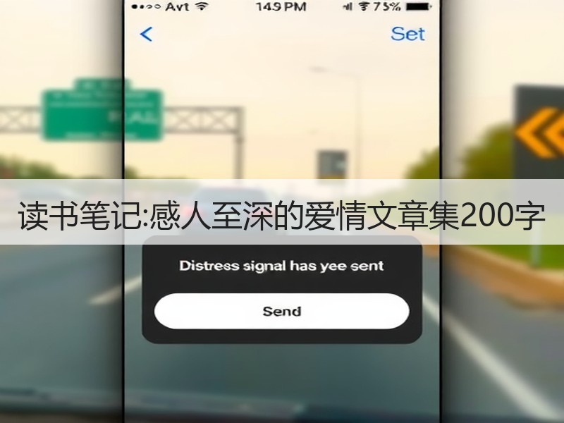 读书笔记:感人至深的爱情文章集200字