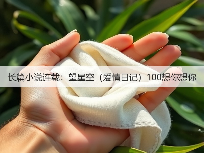 长篇小说连载：望星空（爱情日记）100想你想你