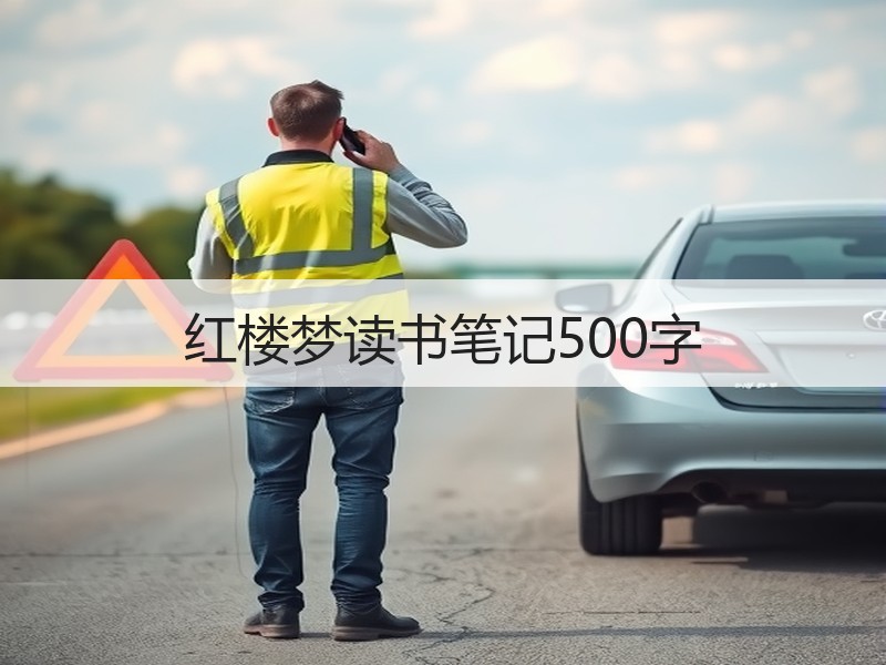 红楼梦读书笔记500字