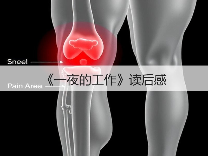 《一夜的工作》读后感