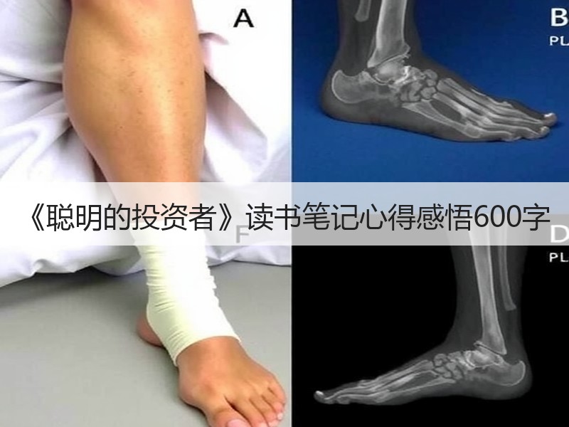 《聪明的投资者》读书笔记心得感悟600字