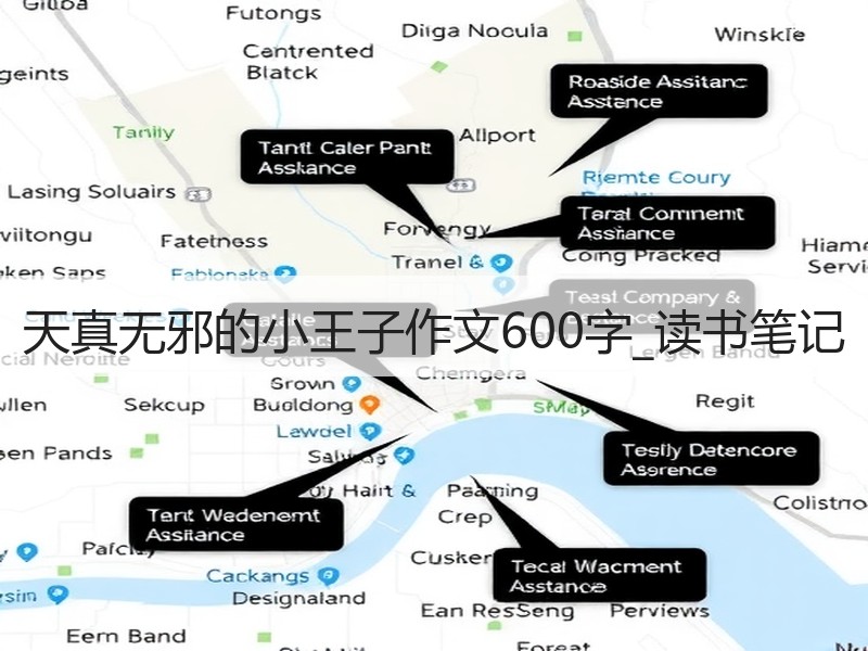 天真无邪的小王子作文600字_读书笔记
