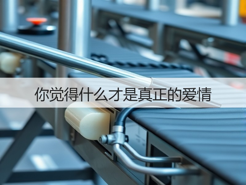 你觉得什么才是真正的爱情