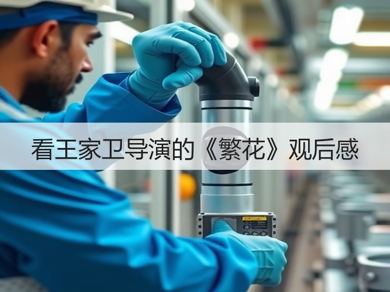 看王家卫导演的《繁花》观后感