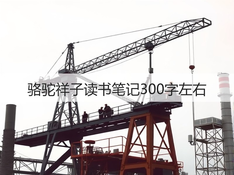 骆驼祥子读书笔记300字左右