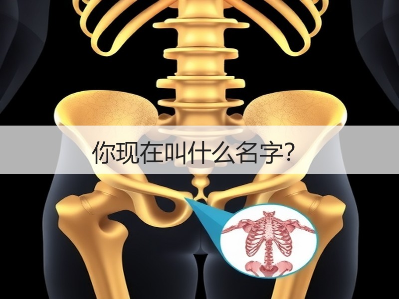 你现在叫什么名字？