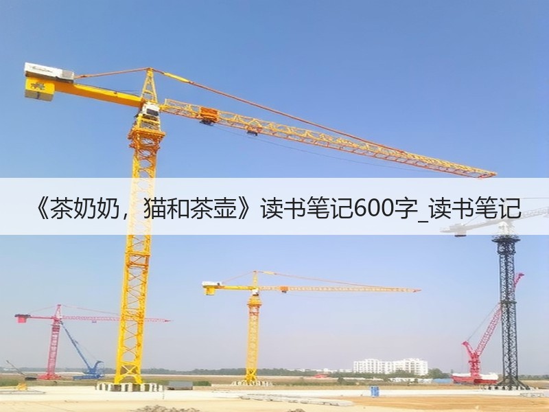 《茶奶奶，猫和茶壶》读书笔记600字_读书笔记