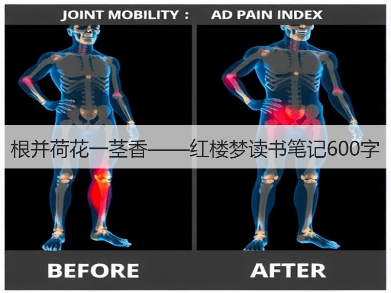 根并荷花一茎香——红楼梦读书笔记600字