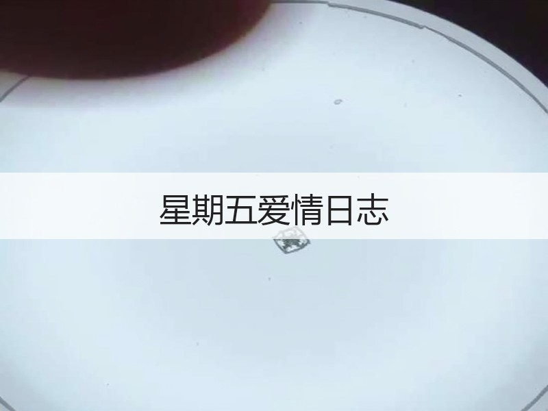 星期五爱情日志