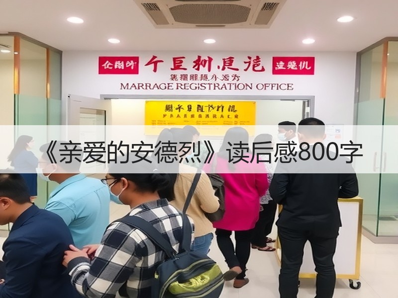 《亲爱的安德烈》读后感800字