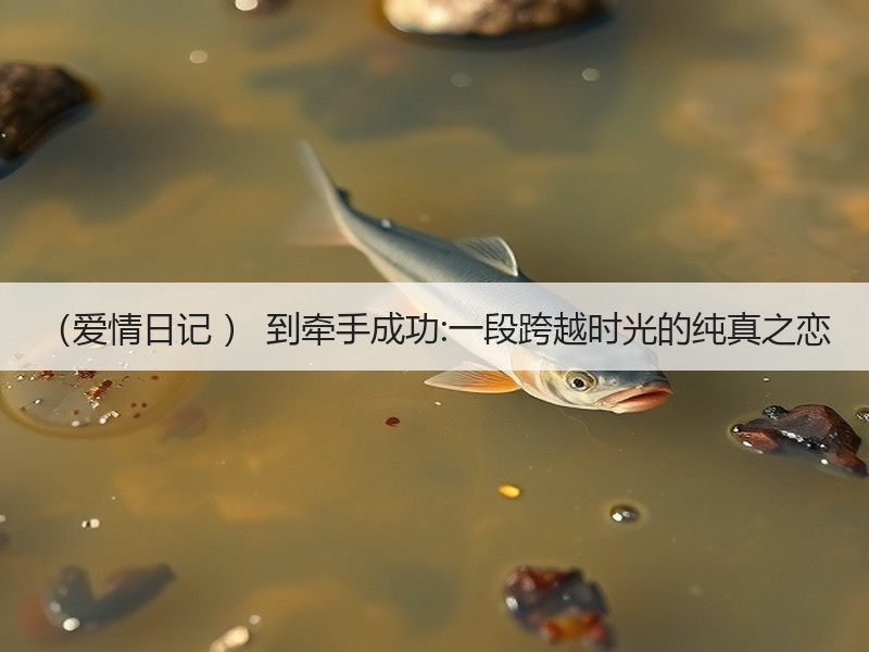 （爱情日记 ） 到牵手成功:一段跨越时光的纯真之恋