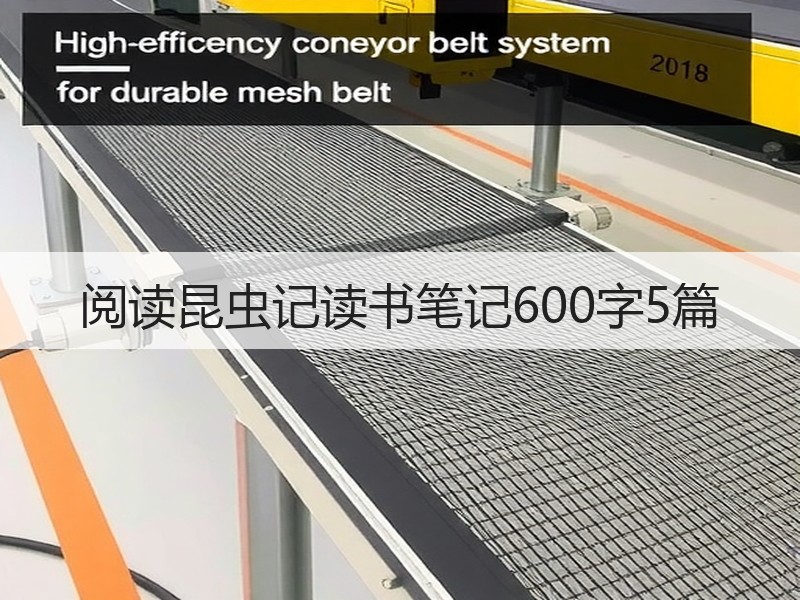 阅读昆虫记读书笔记600字5篇