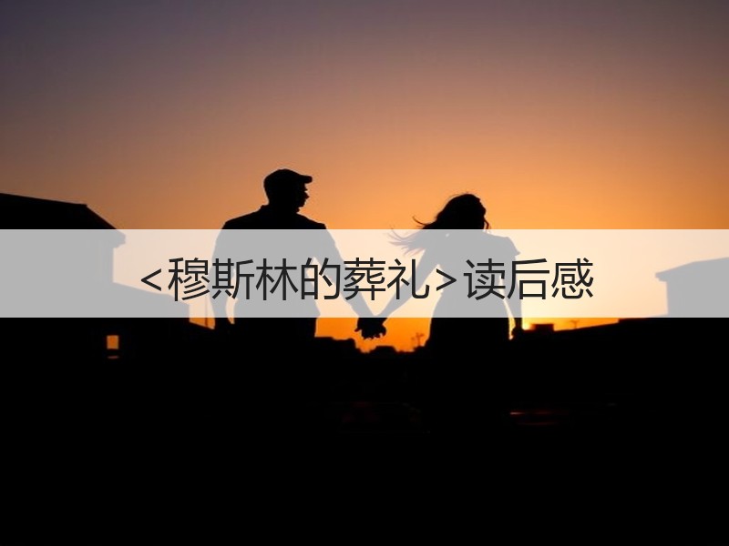 <穆斯林的葬礼>读后感