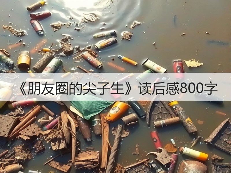 《朋友圈的尖子生》读后感800字