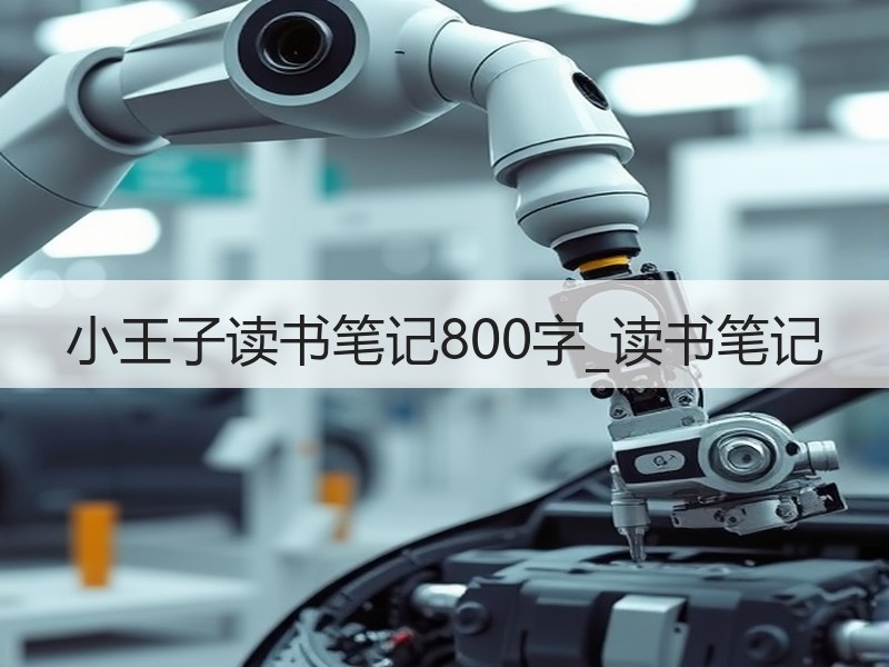 小王子读书笔记800字_读书笔记