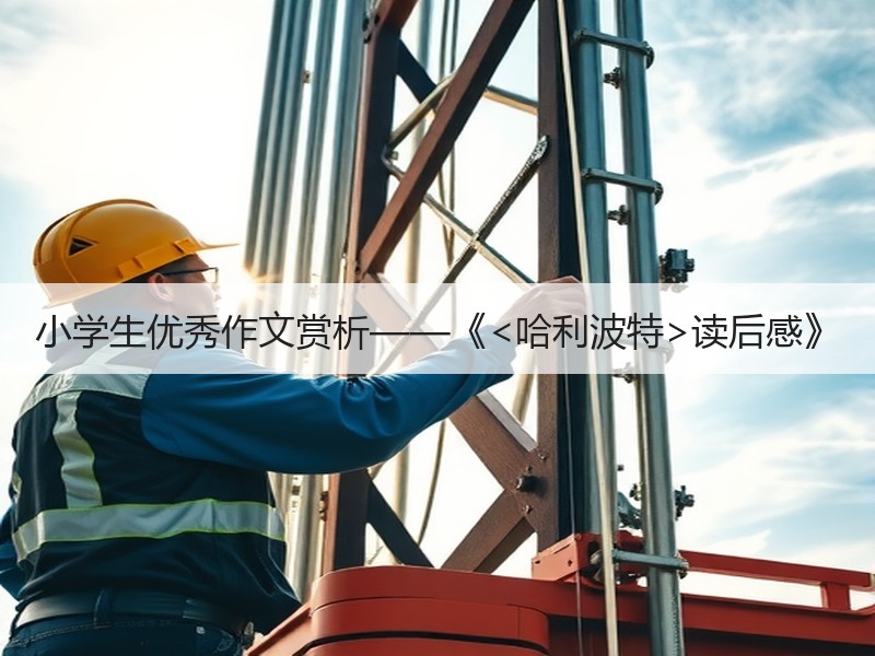 小学生优秀作文赏析——《<哈利波特>读后感》