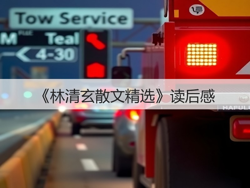 《林清玄散文精选》读后感