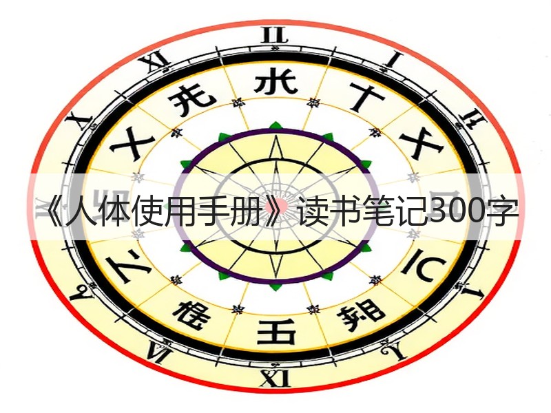 《人体使用手册》读书笔记300字