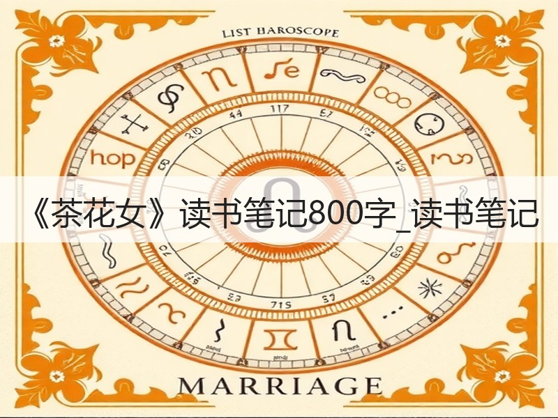 《茶花女》读书笔记800字_读书笔记