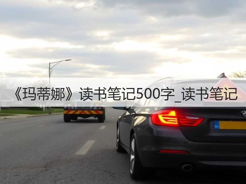 《玛蒂娜》读书笔记500字_读书笔记
