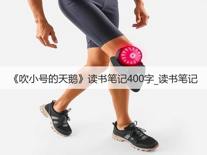 《吹小号的天鹅》读书笔记400字_读书笔记