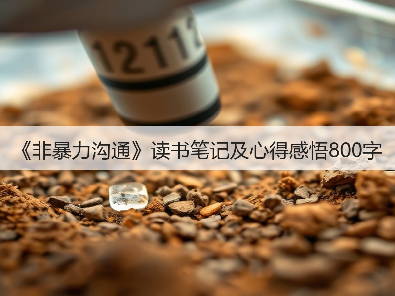 《非暴力沟通》读书笔记及心得感悟800字