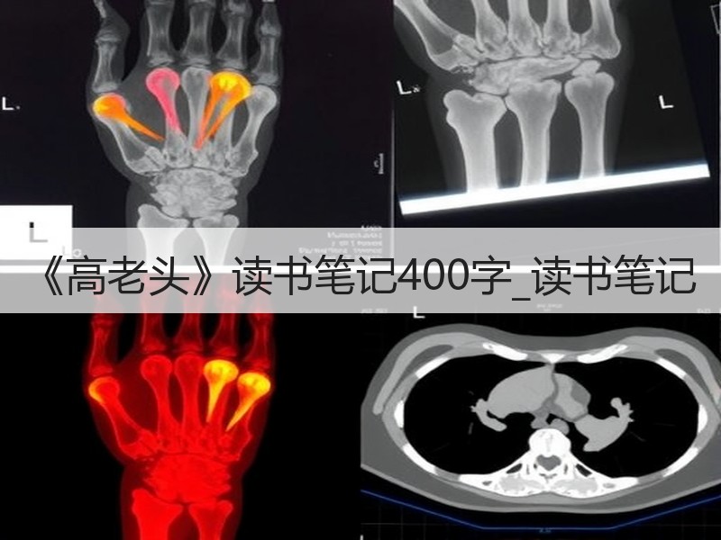 《高老头》读书笔记400字_读书笔记