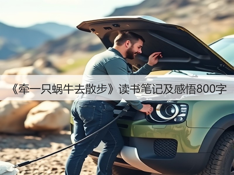 《牵一只蜗牛去散步》读书笔记及感悟800字