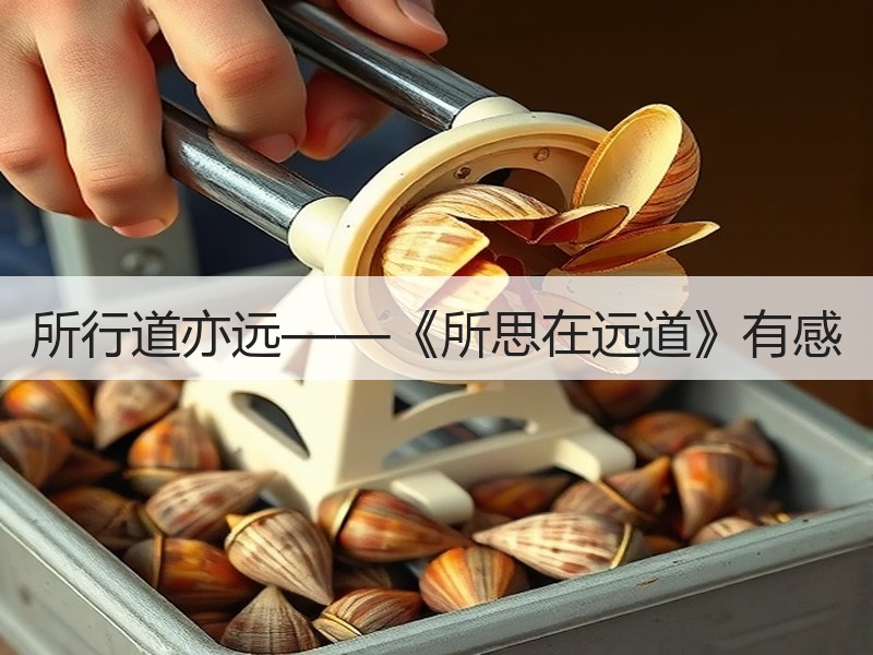 所行道亦远——《所思在远道》有感