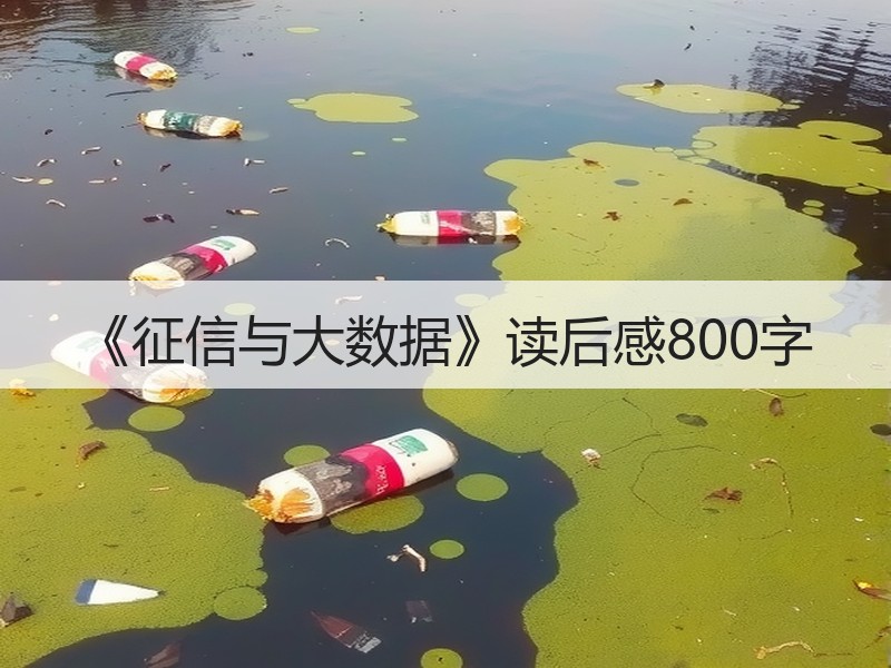 《征信与大数据》读后感800字
