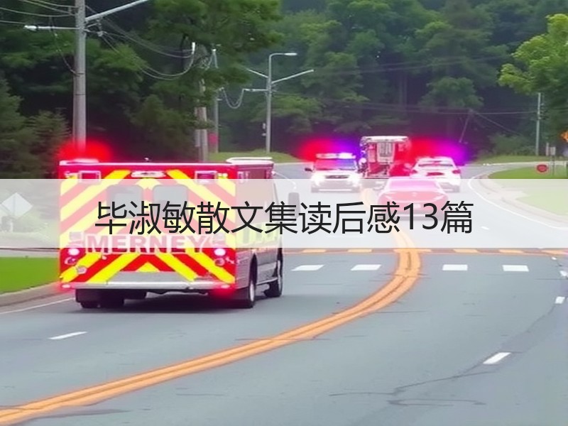 毕淑敏散文集读后感13篇