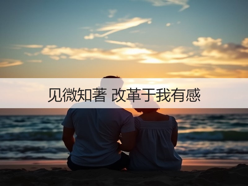 见微知著 改革于我有感