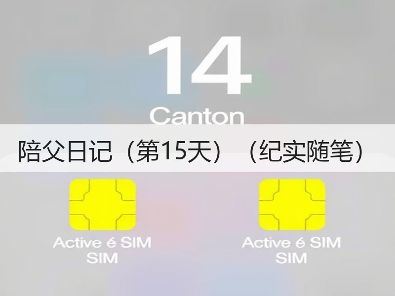 陪父日记（第15天）（纪实随笔）