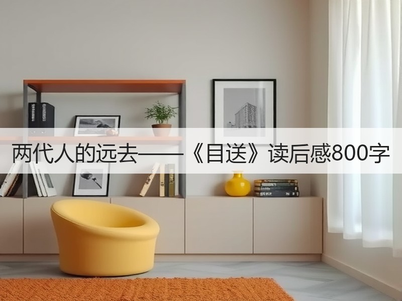 两代人的远去——《目送》读后感800字