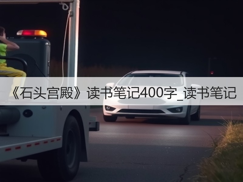 《石头宫殿》读书笔记400字_读书笔记