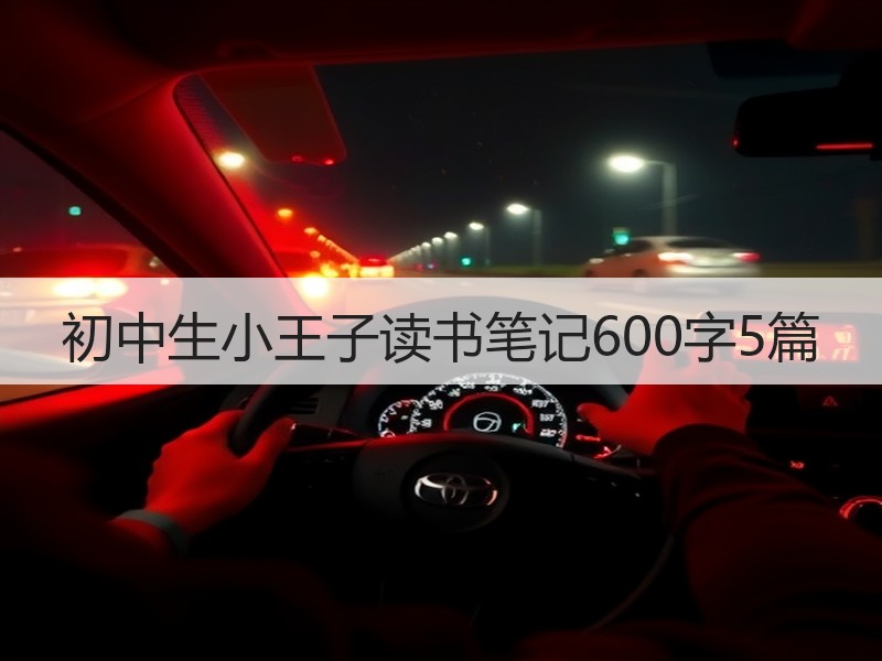 初中生小王子读书笔记600字5篇