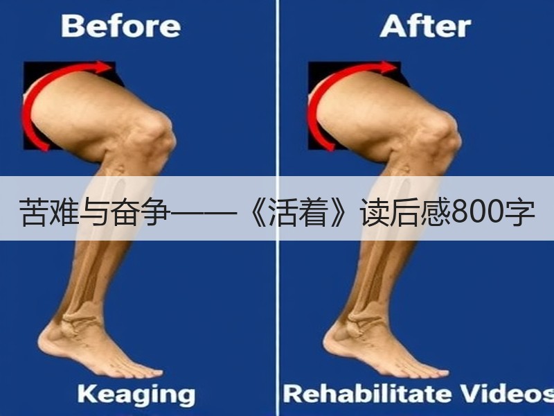 苦难与奋争——《活着》读后感800字