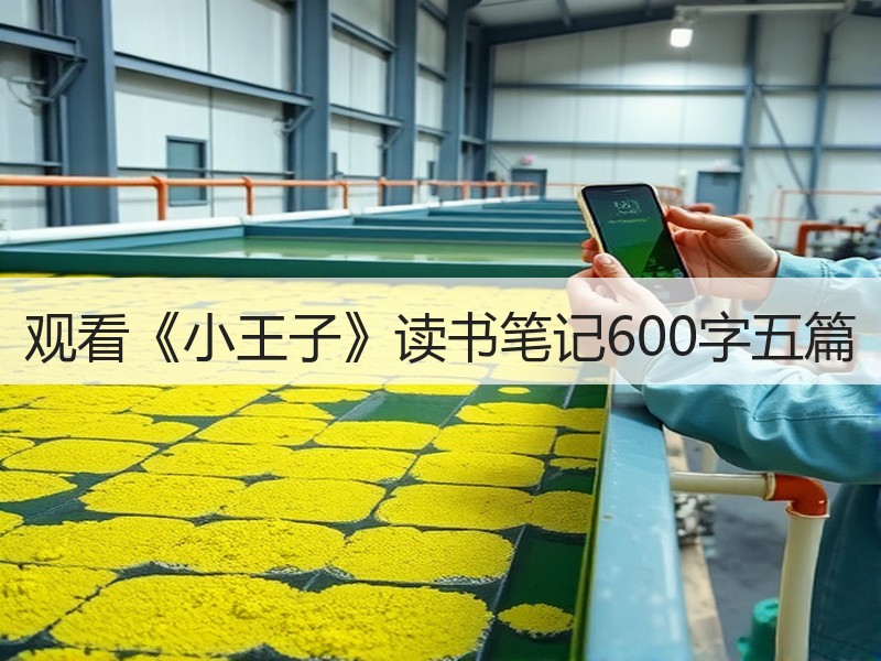 观看《小王子》读书笔记600字五篇